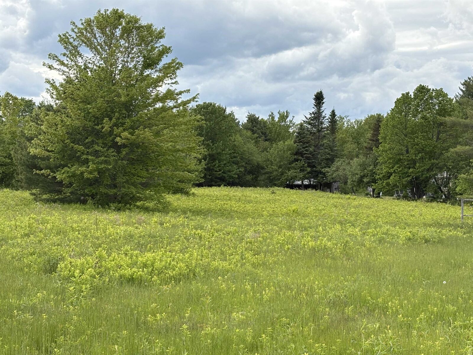 Property Photo: 00 Route 118 NH 03266