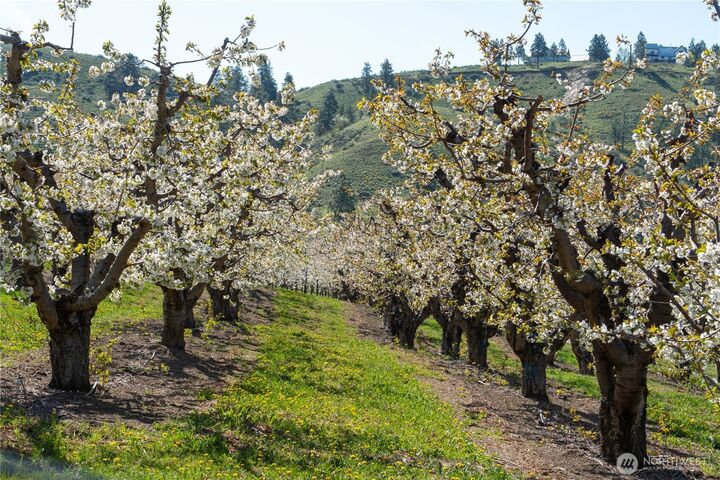 Property Photo:  712  Moonlit Lane  WA 98801 