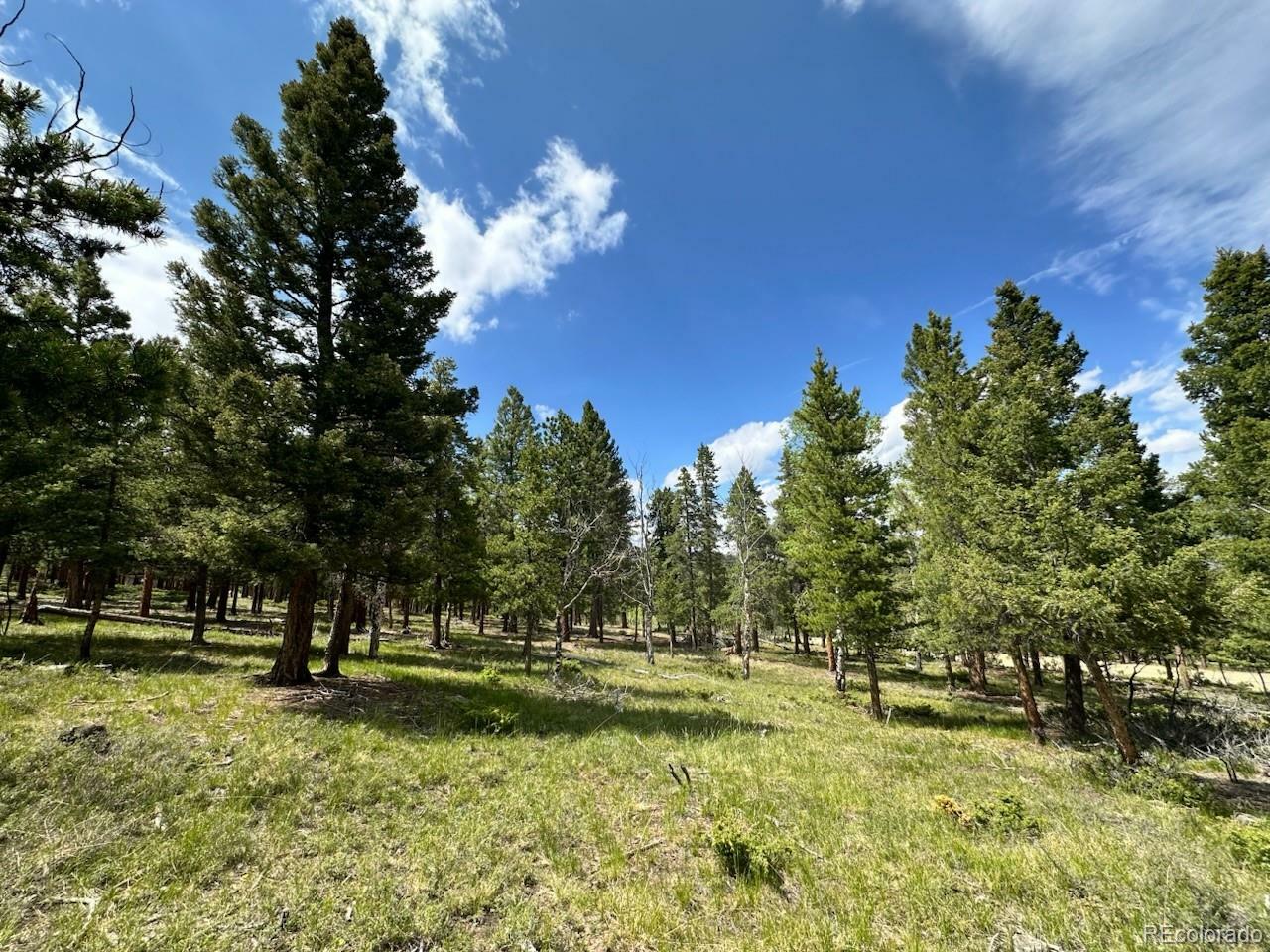 Property Photo: 30385 National Forest Drive CO 81211