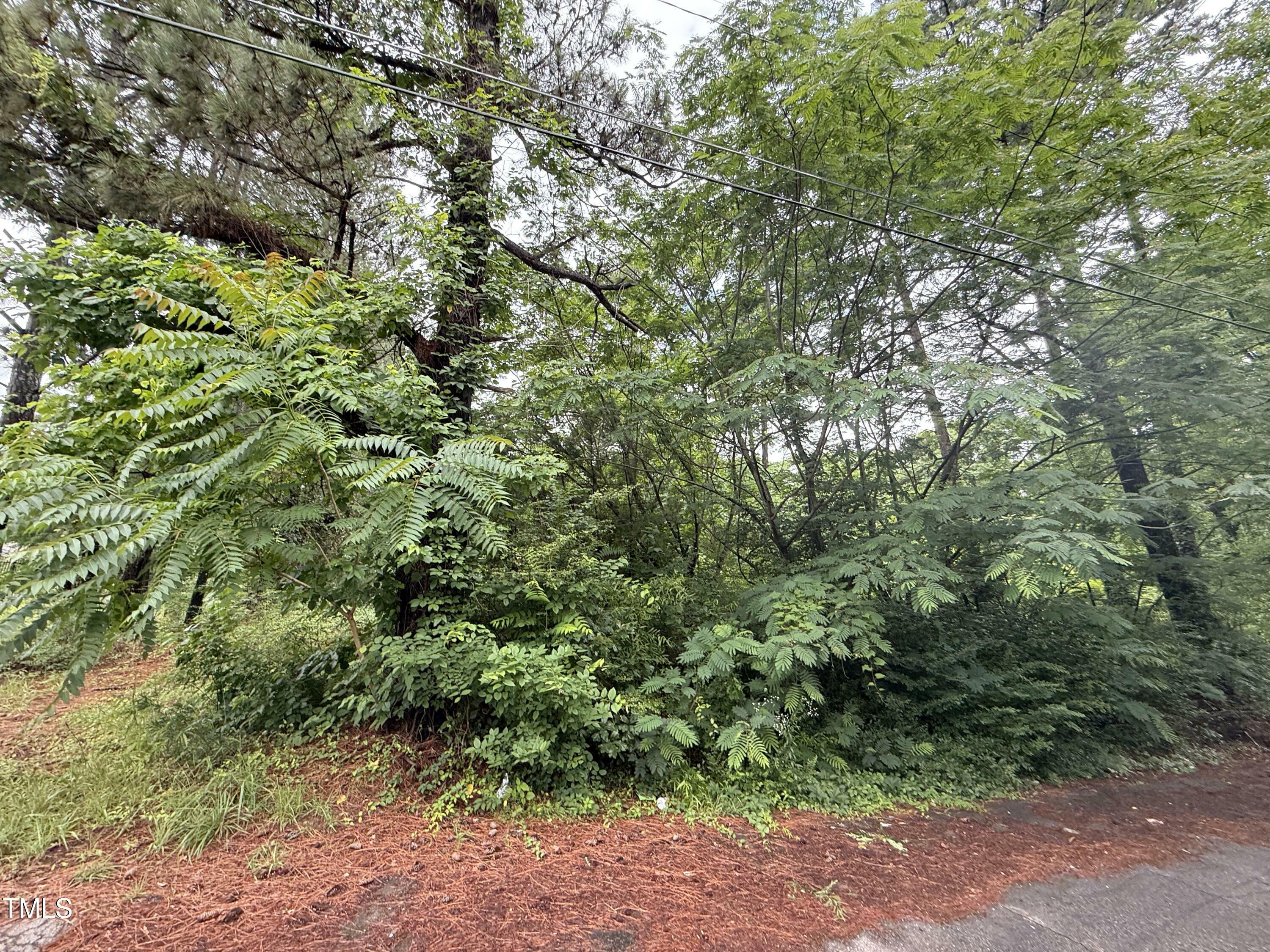 Property Photo: 552 Thomas Street NC 27537