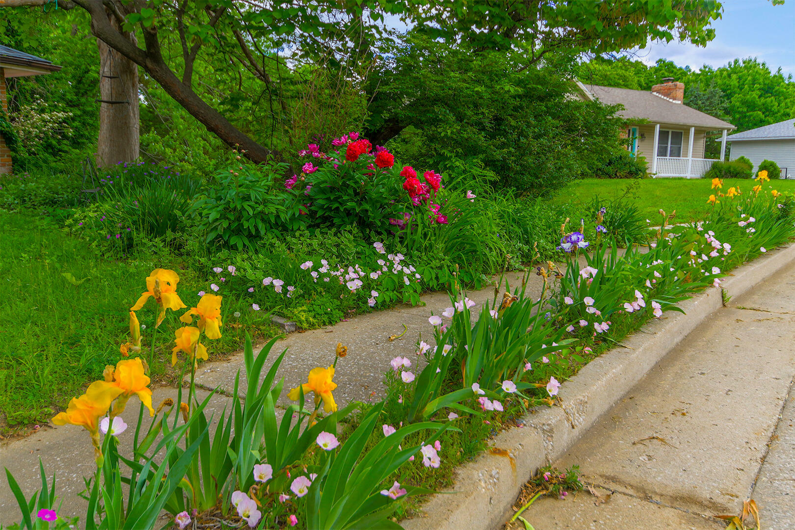 Property Photo: 2544 Lexington Dr MO 65109