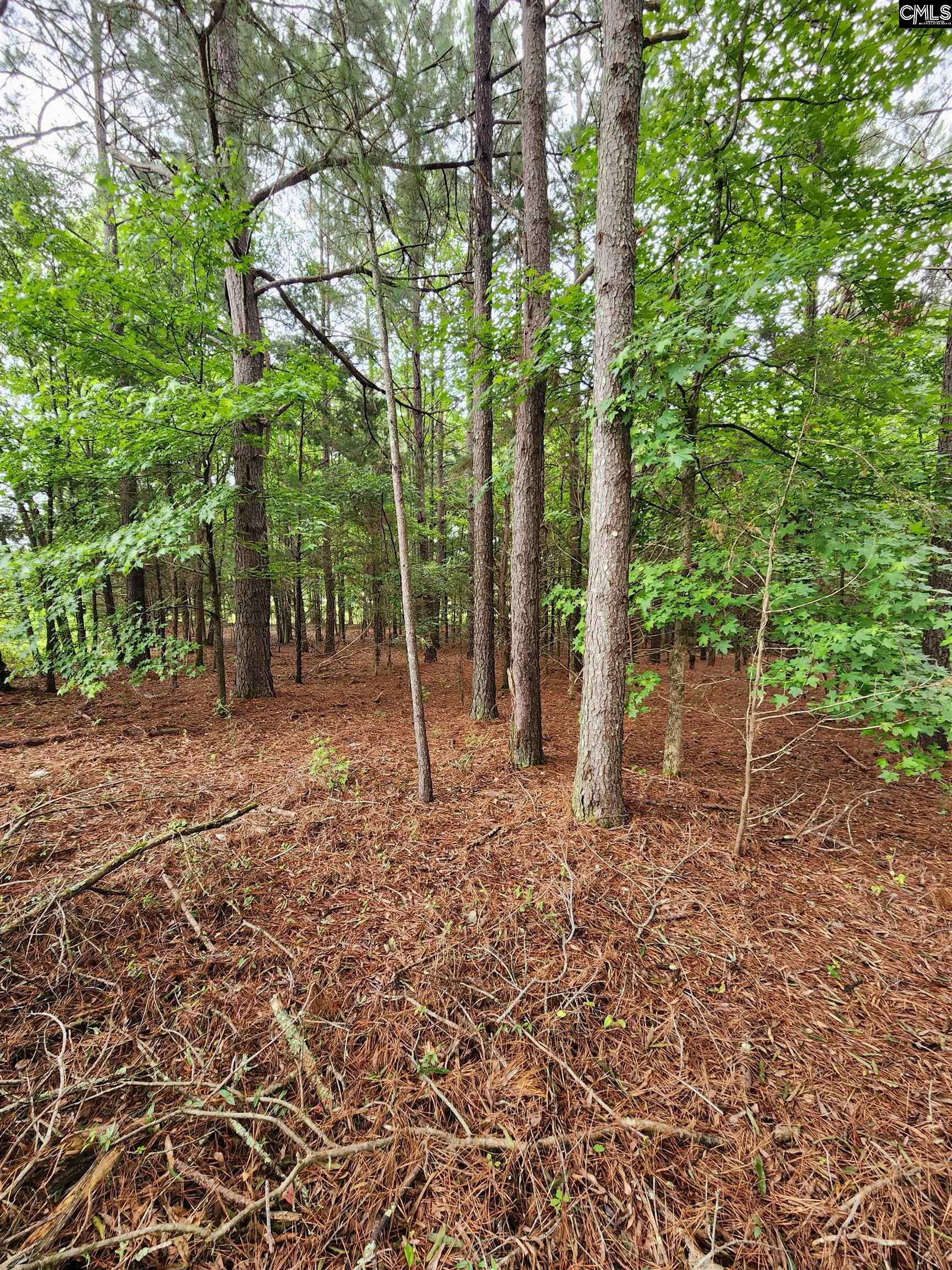 Property Photo:  0 Elm  SC 29127 
