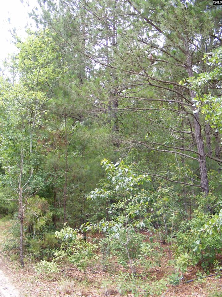 Property Photo: 412 Sells SC 29123-0000