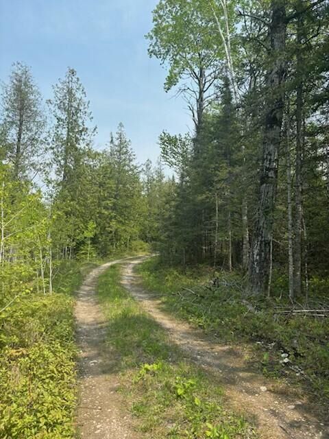Property Photo: Tbd W M-134 Hwy MI 49745