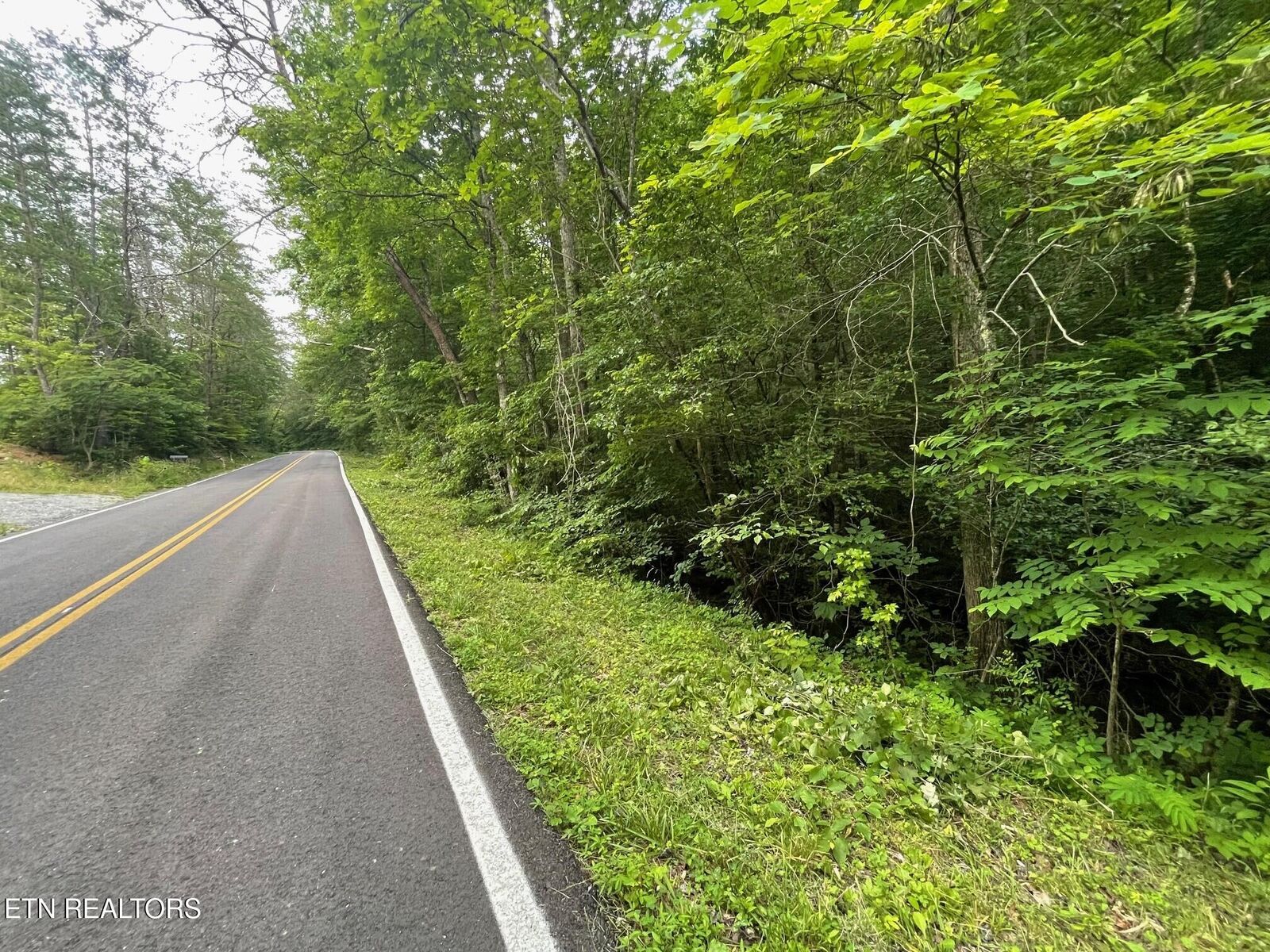 Property Photo:  1477 Old Chilhowee Rd  TN 37865 