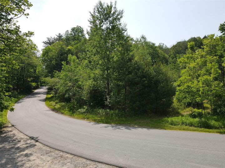 Property Photo:  Gale Road  NY 12762