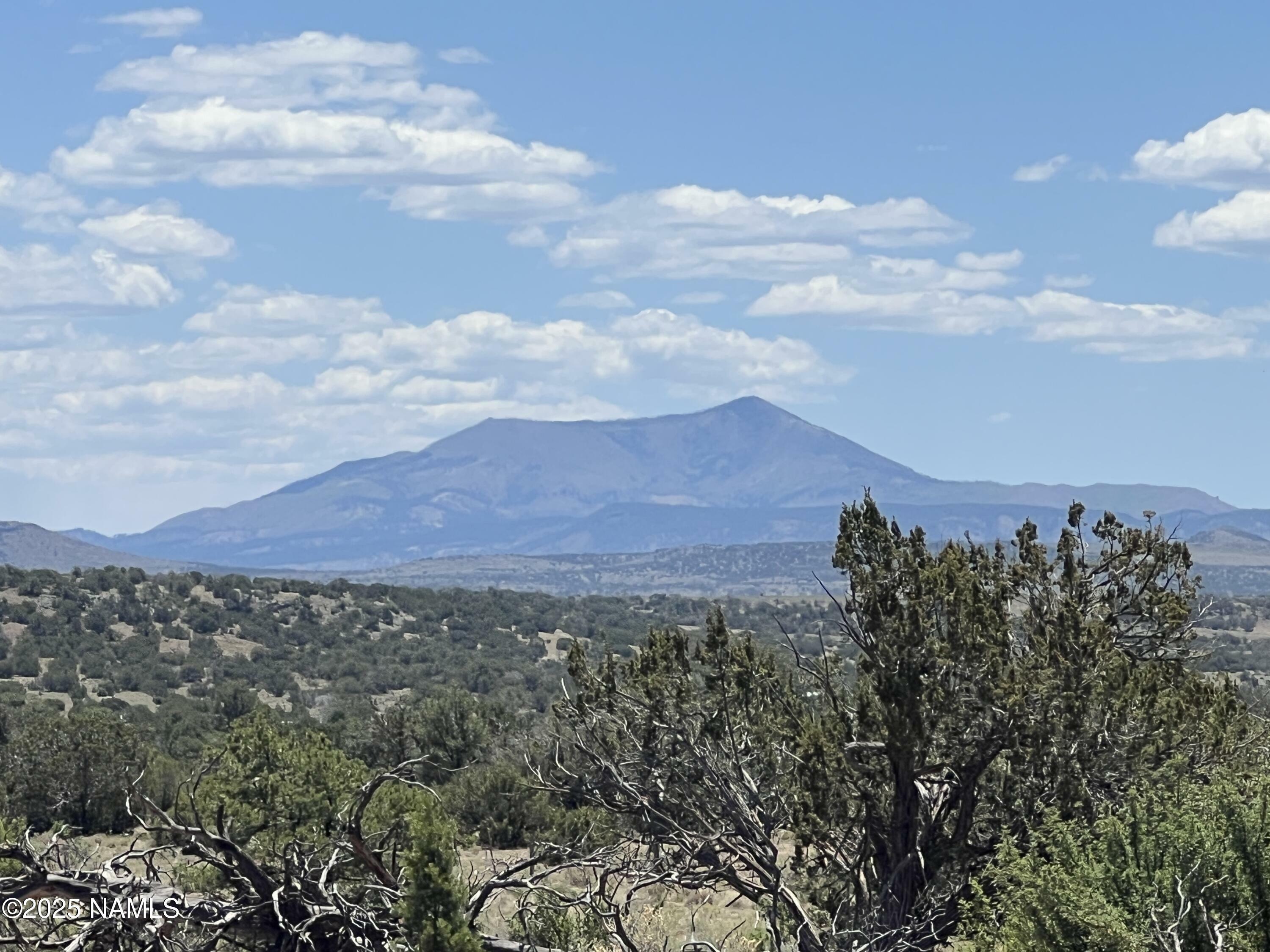 Property Photo:  501-80-044 Lot B South Rim Ranch Rd.  AZ 86046 