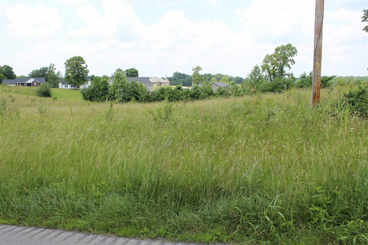 Property Photo: Lot 2 Lick Branch Road KY 42141