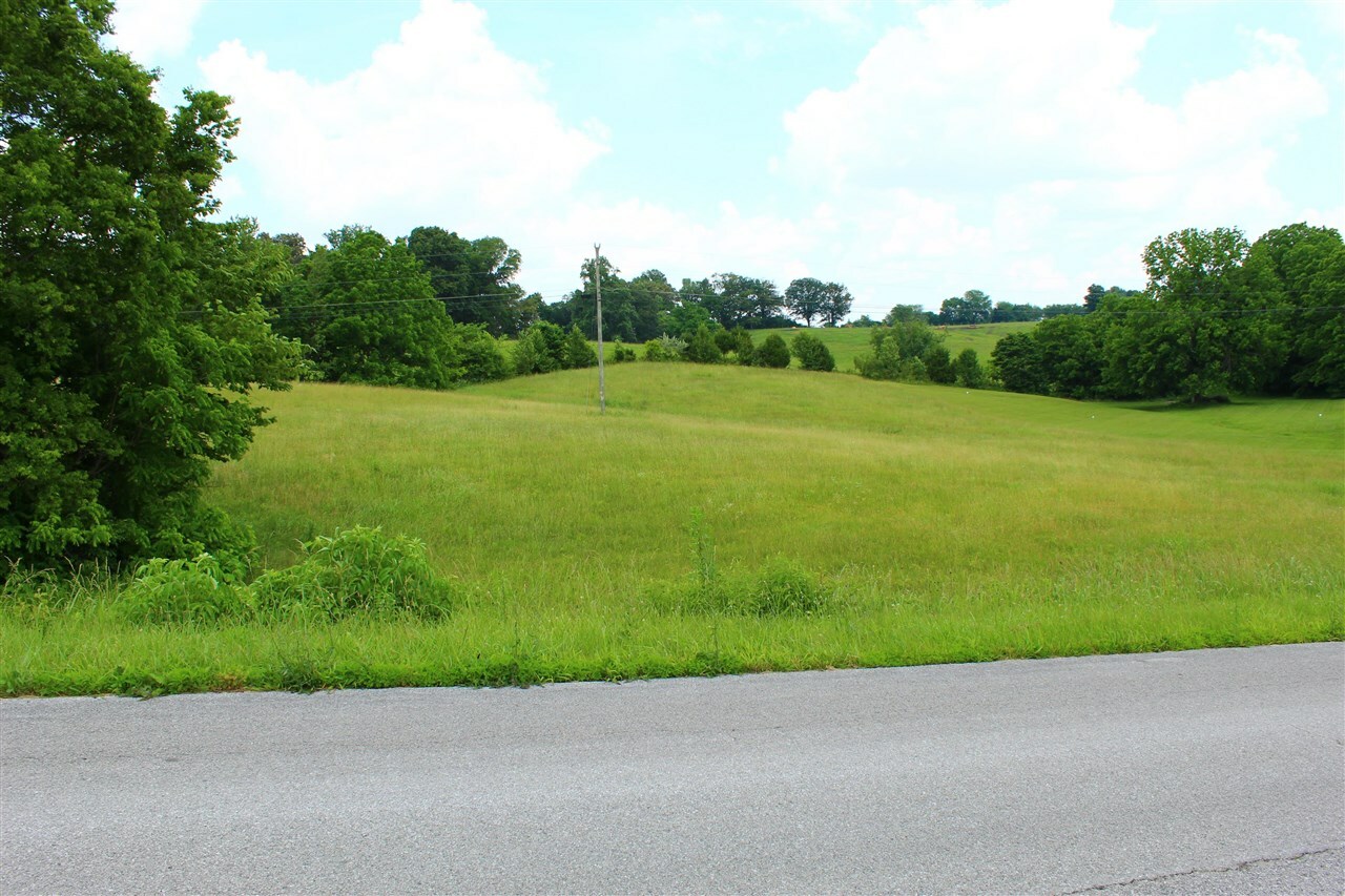 Property Photo: Lot 56 Steeplechase Road KY 42141