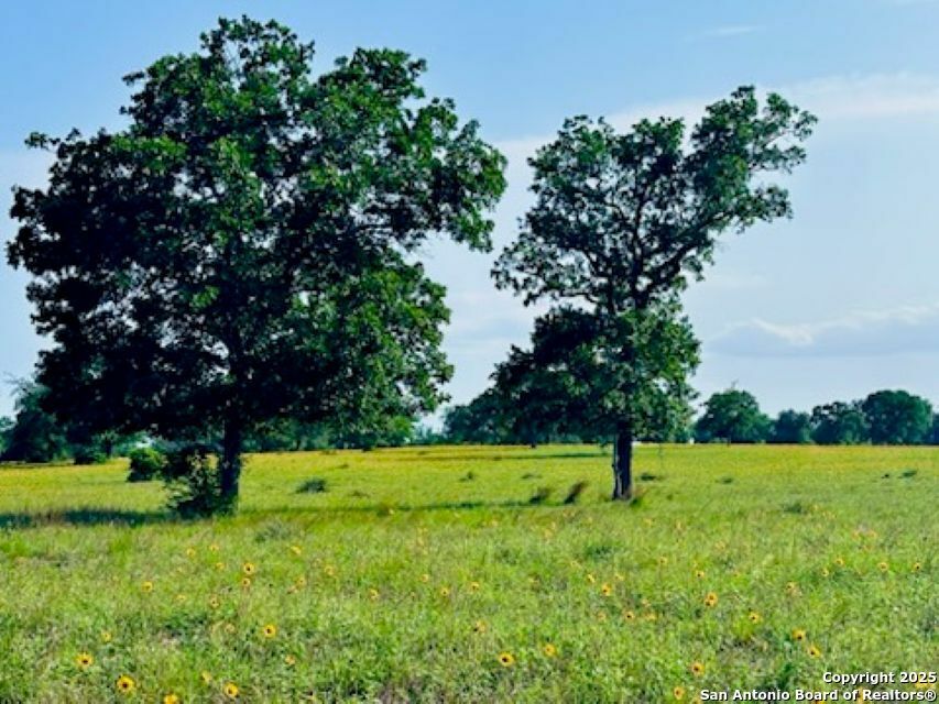 Property Photo:  445 Powder Ridge  TX 78648 