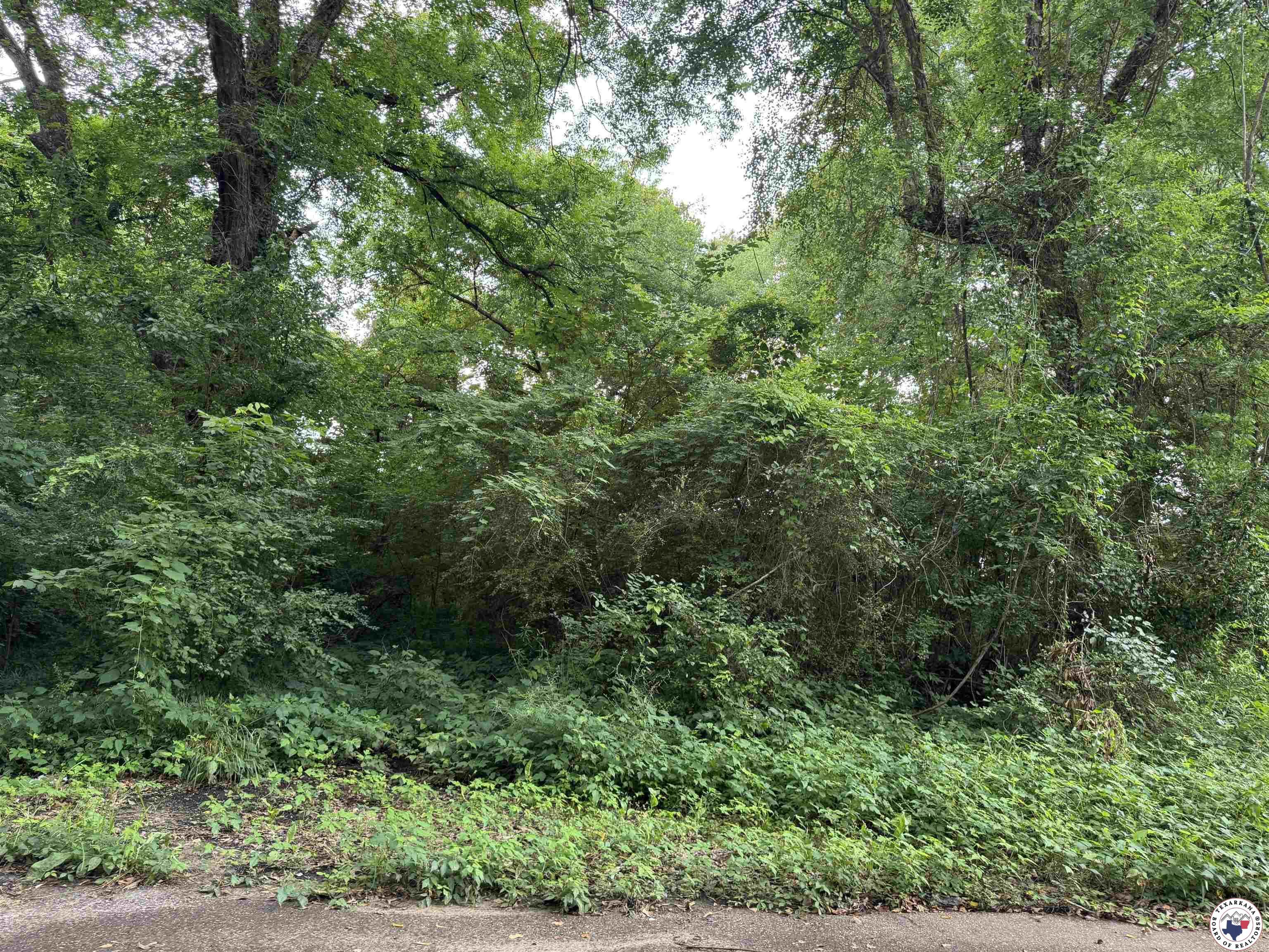 Property Photo: 403 Griffin TX 75501