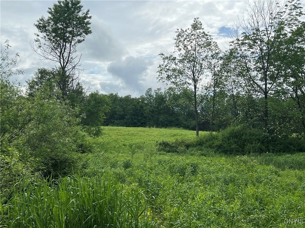 Searls Road  Cortland NY 13045 photo