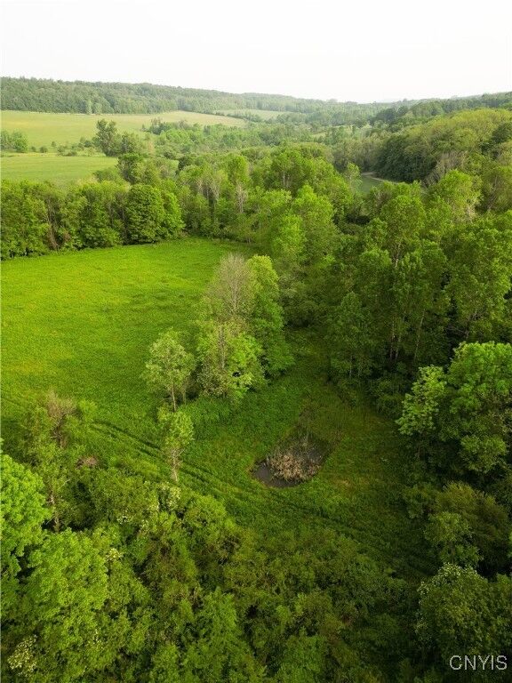 Searls Road  Cortland NY 13045 photo