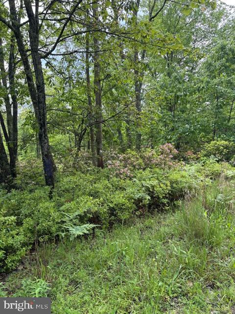 0 East  Clarence PA 16829 photo