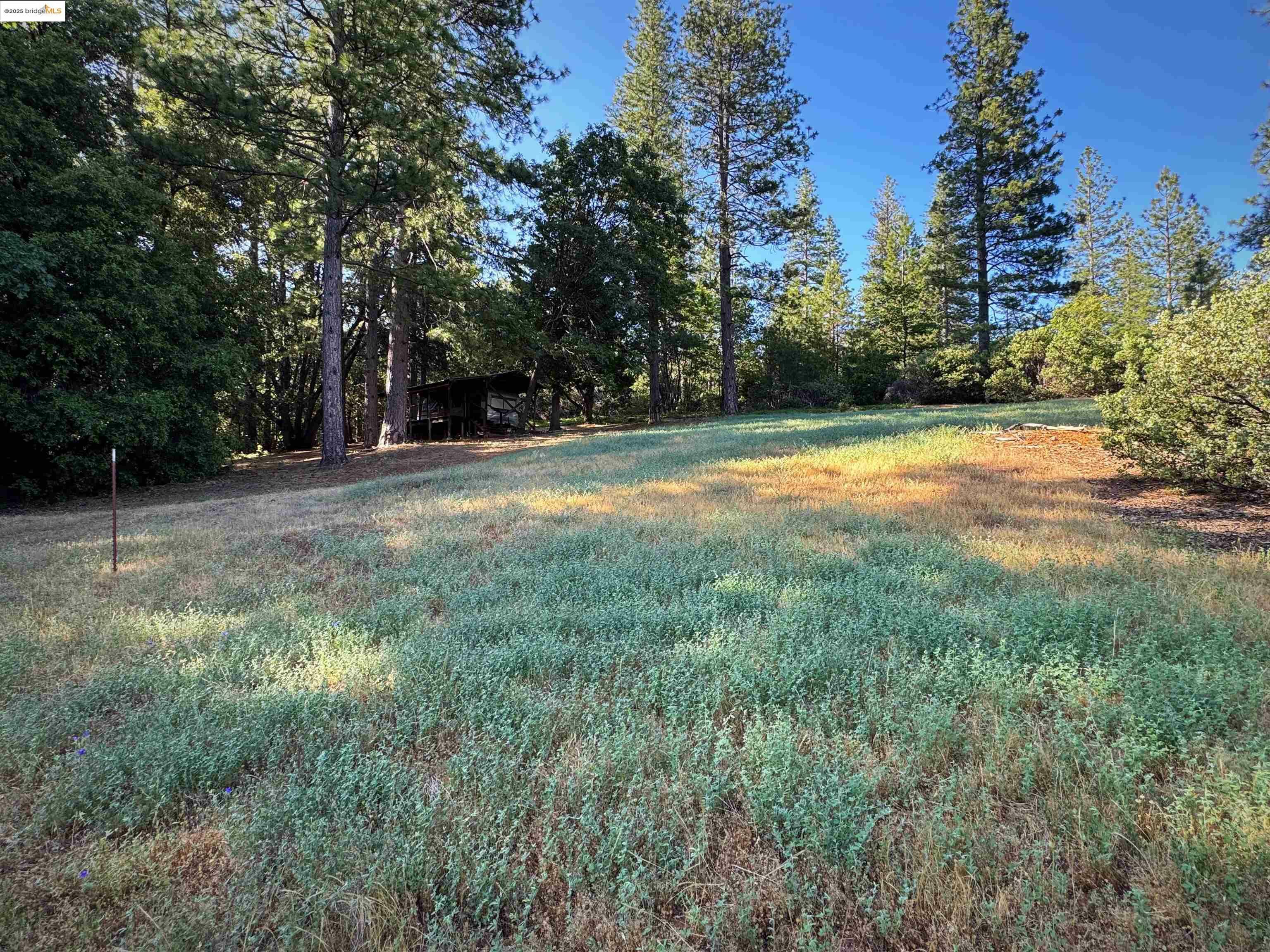 Property Photo:  