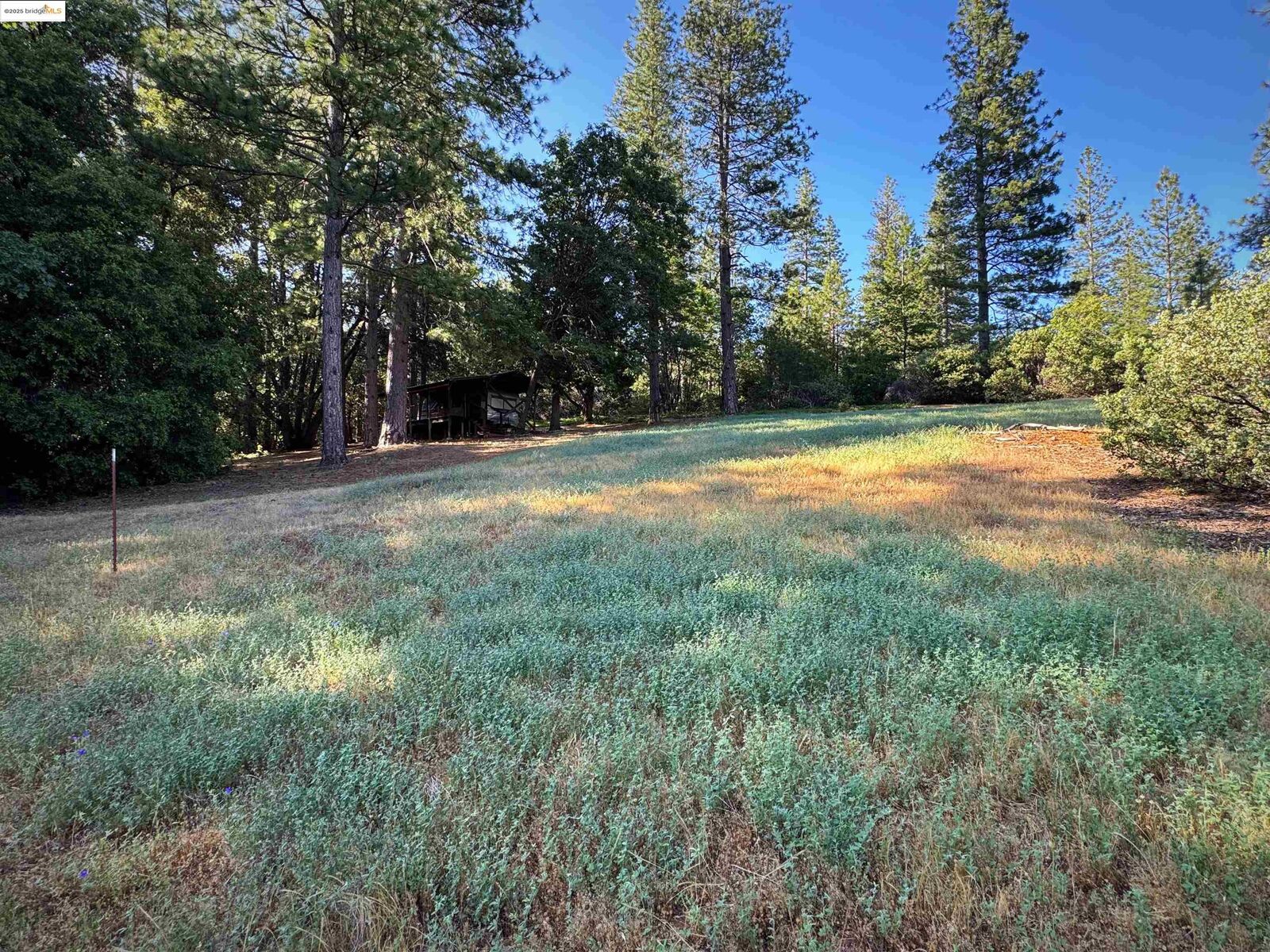 Property Photo: