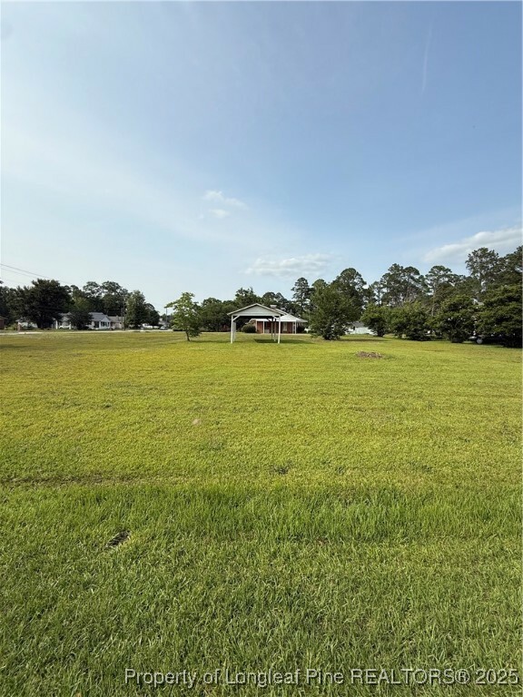Property Photo: 0 S Main Street NC 28386