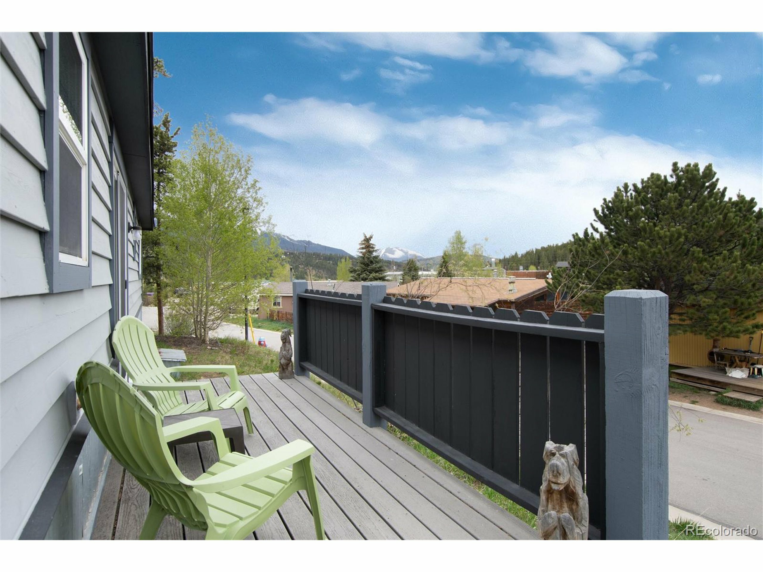 Property Photo: 32 Magnum Bonum Dr CO 80424