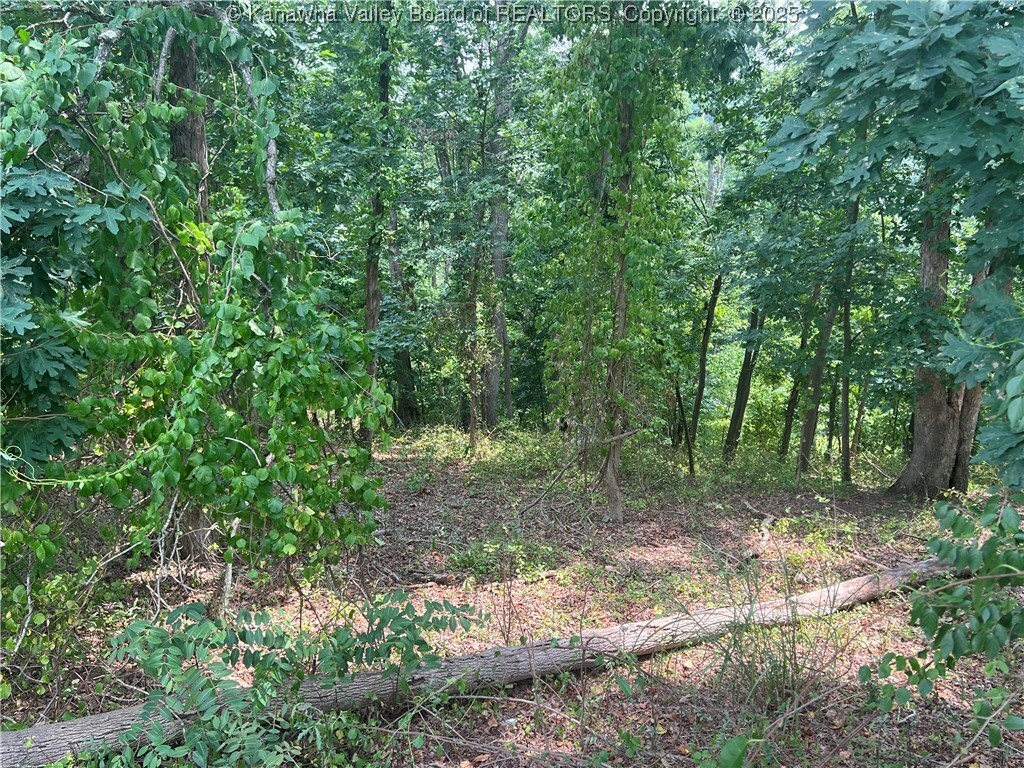 Property Photo: 0 Suncrest Place WV 25303