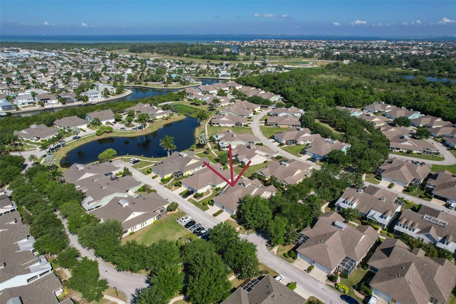 Property Photo:  217 Oceania Court  FL 33572 