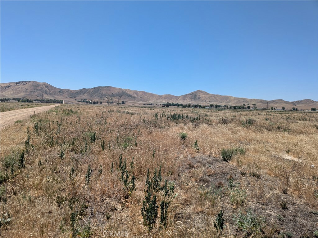 Property Photo:  0 Soda Lake Road  CA 93453 