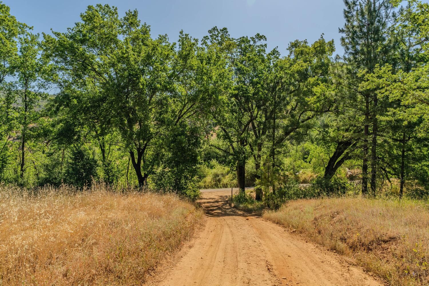 Property Photo:  0 Hawver Road  CA 95245 