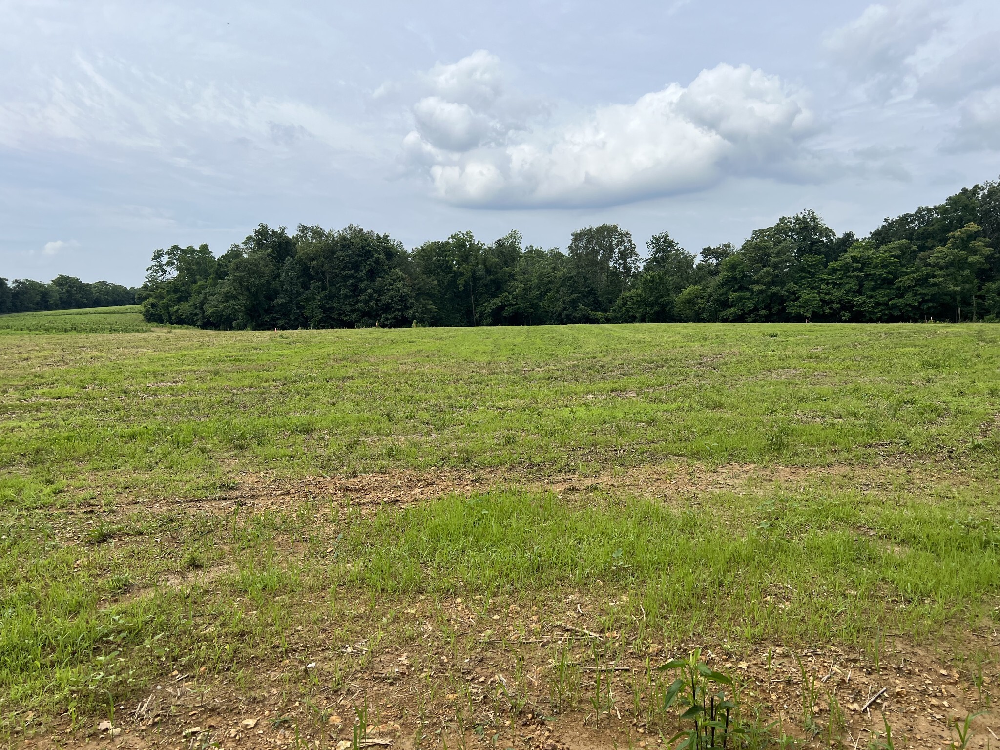 Property Photo:  20 Annie Hollow Rd  TN 37186 