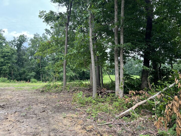 Property Photo:  22 Annie Hollow Rd  TN 37186 