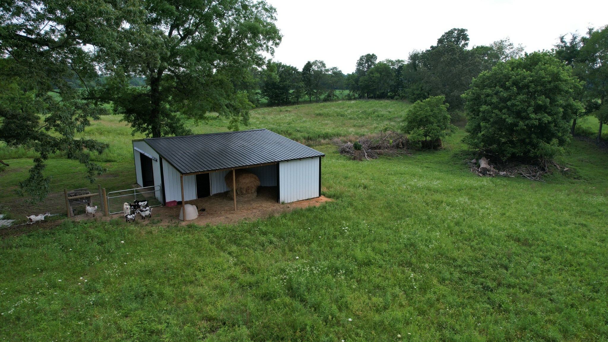 Property Photo: 521 Revilo Rd TN 38468