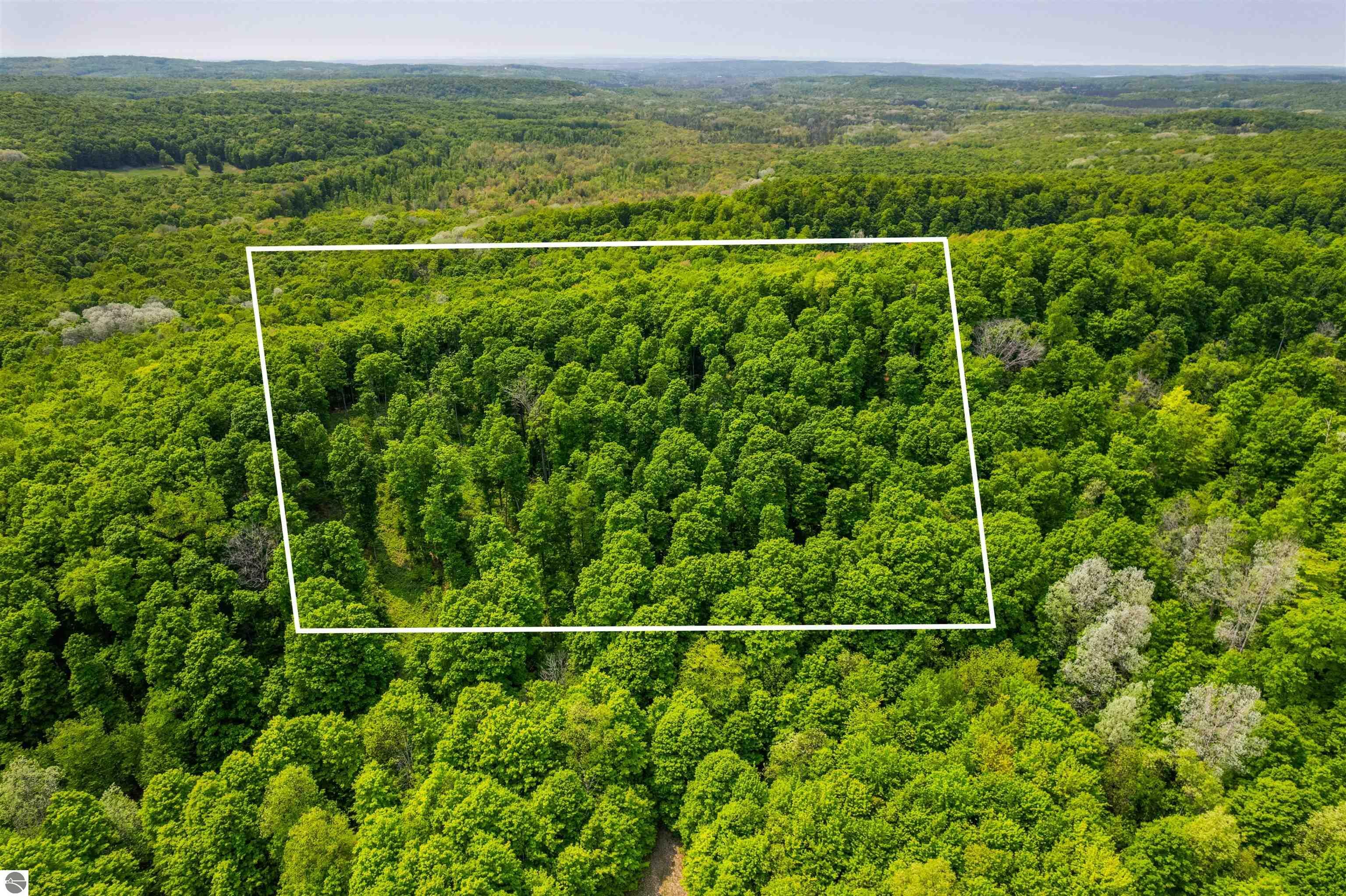 Property Photo:  V/L Spring Hill  MI 49659 