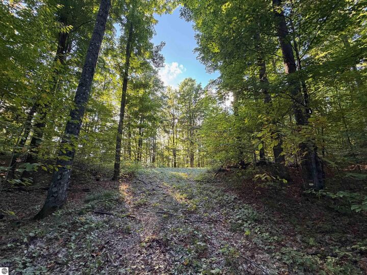 Property Photo:  V/L Spring Hill  MI 49659 
