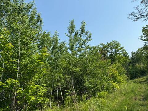 Property Photo: Tbd County Road T WI 54830