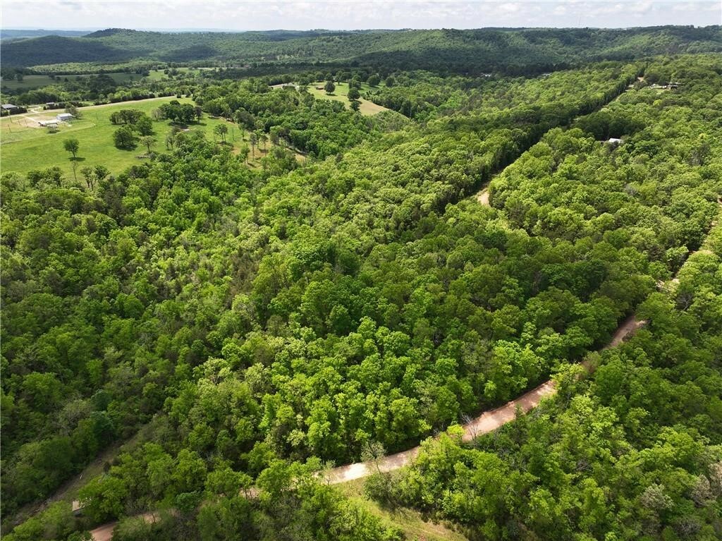 Property Photo: Tbd Polite Road AR 72662