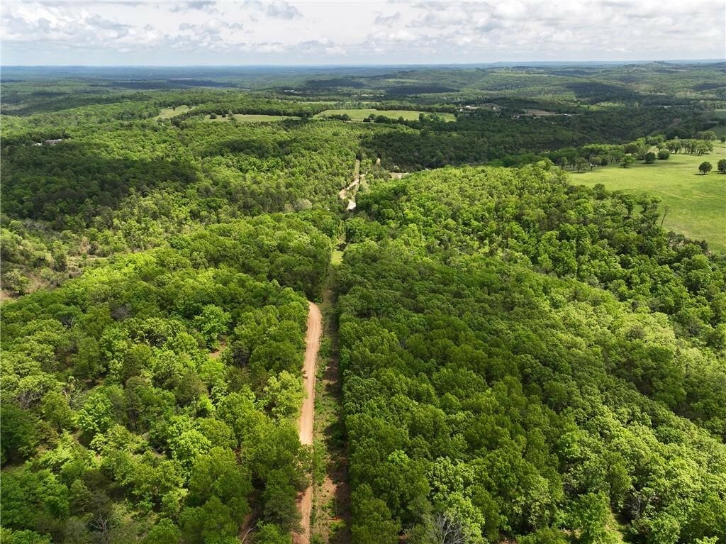 Tbd Polite Road  Omaha AR 72662 photo
