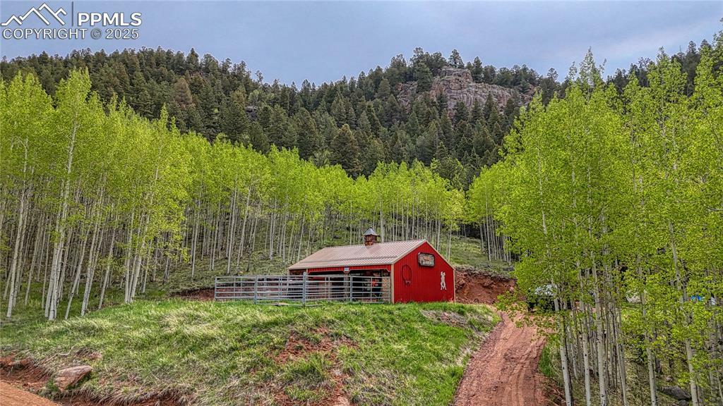 Property Photo: 18766 Highway 67 CO 80814