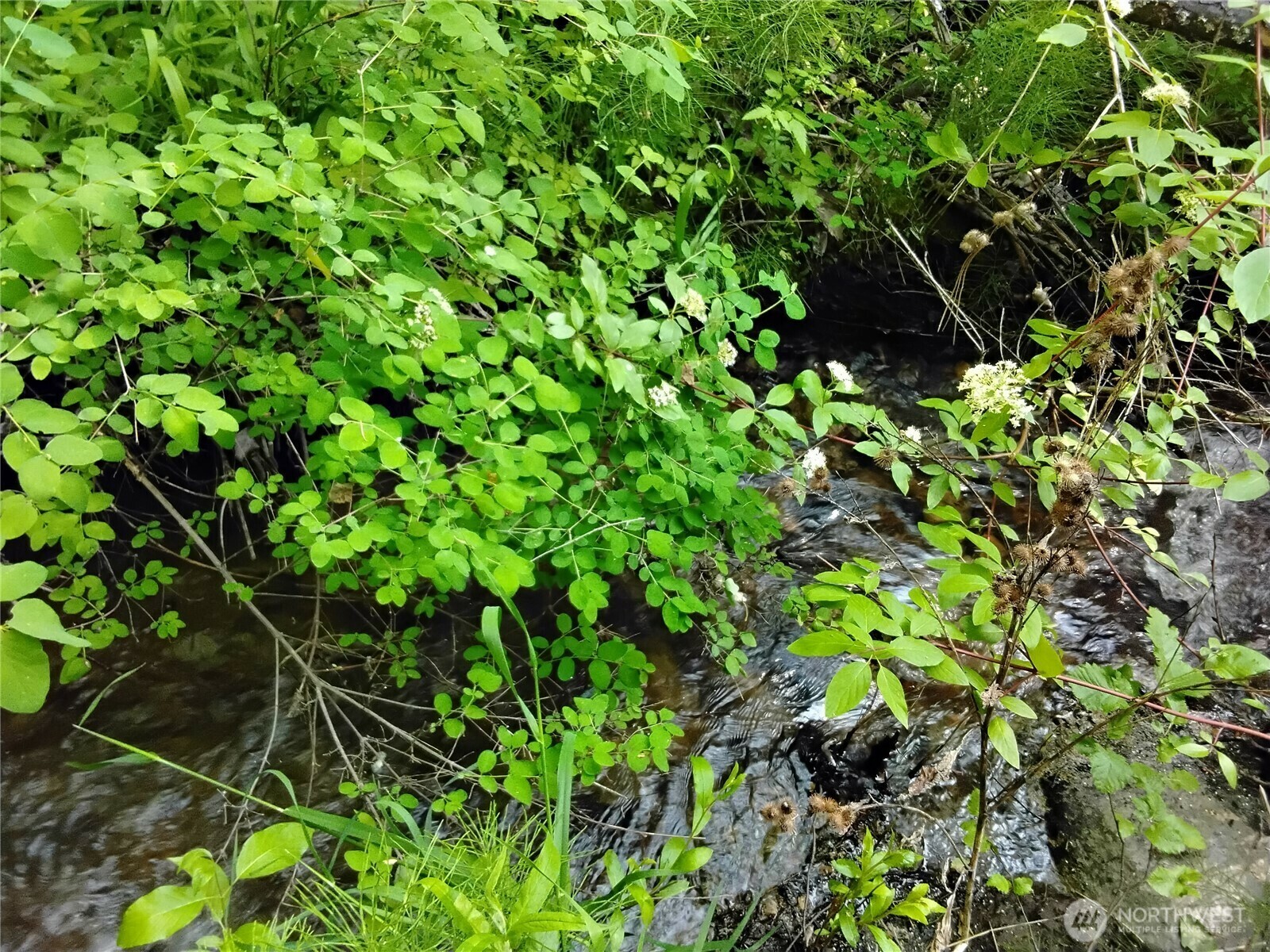 0  Siwash Creek Road  Tonasket WA 98855 photo