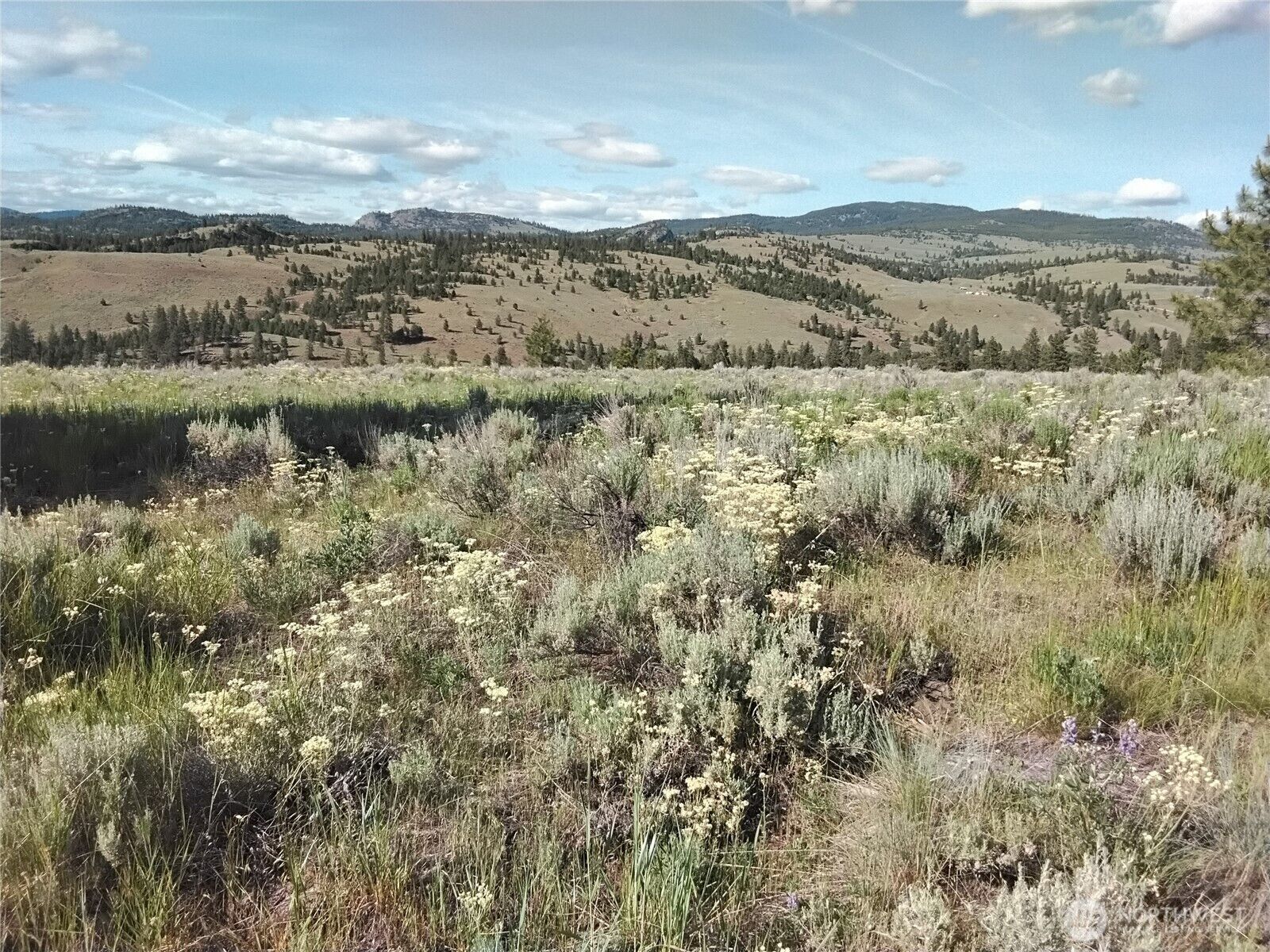 Property Photo:  0  Siwash Creek Road  WA 98855 