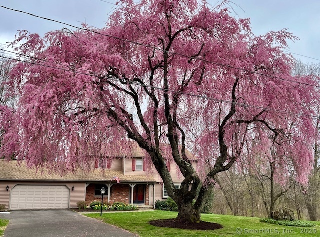 Property Photo: 36 Panorama Drive CT 06489