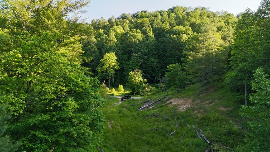 Property Photo:  0 Calico Fork Rd  KY 41230 