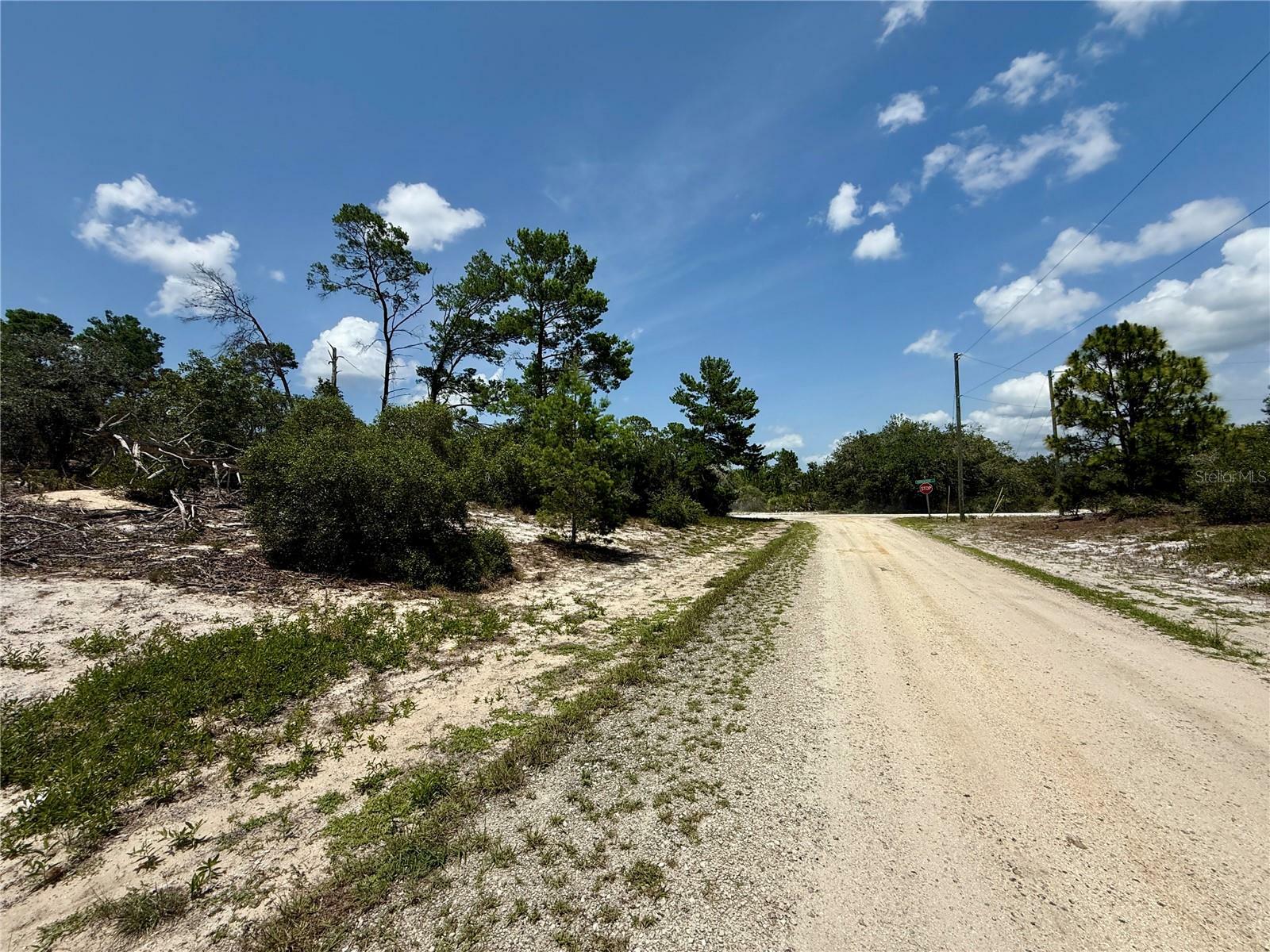 Property Photo: 456 Apple Blossom Court FL 33852