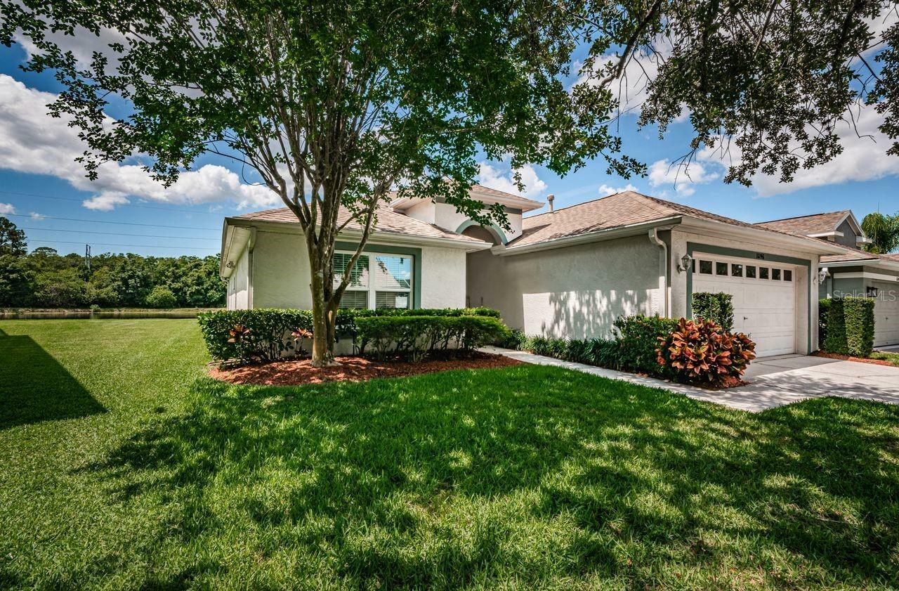 Property Photo: 11246 Cypress Reserve Drive FL 33626