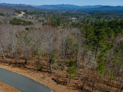 Property Photo: Lt 38&Amp39 The Hills At Queen'S Gap GA 30514