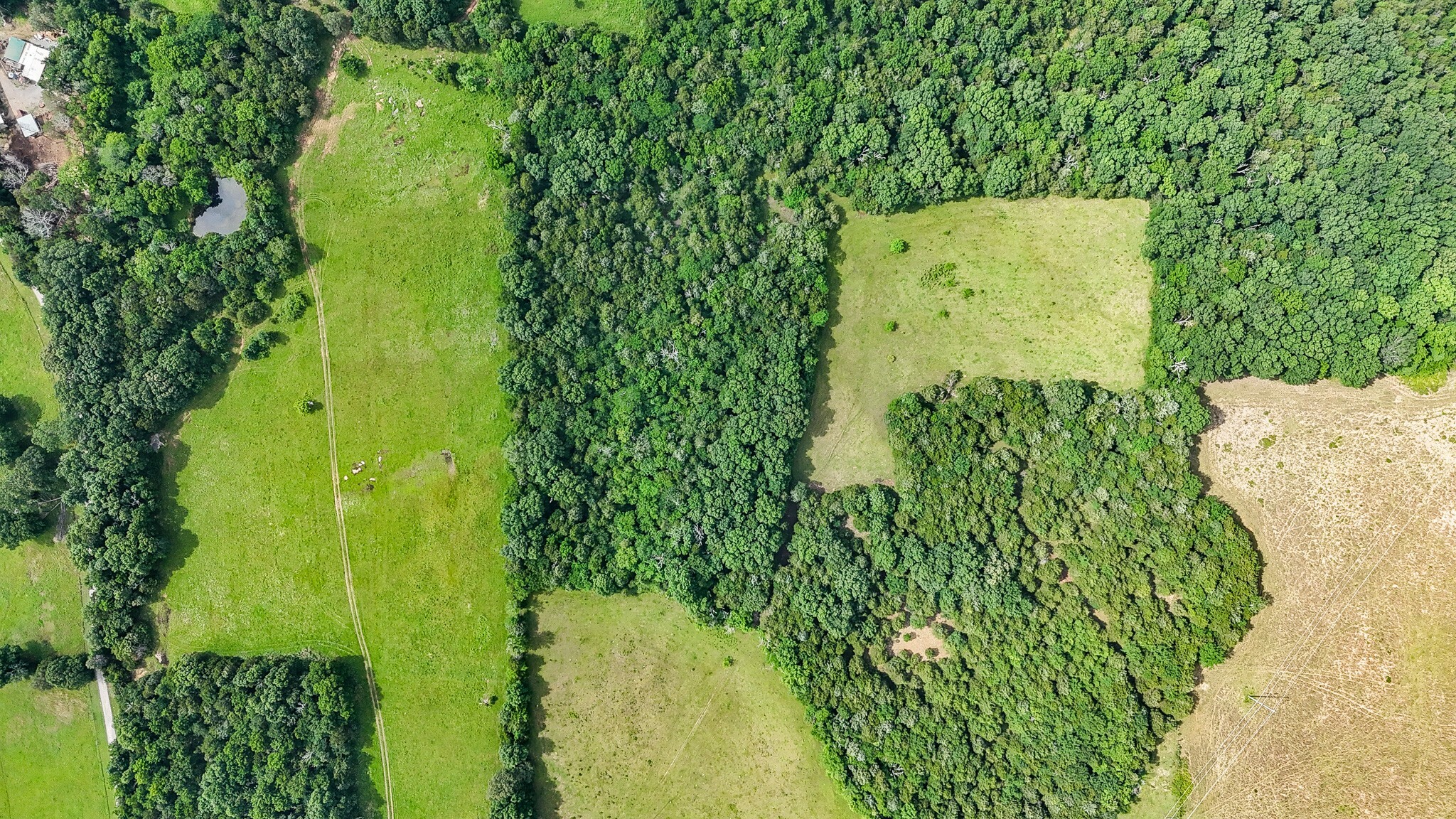 Property Photo: 0 Clem Creek Rd TN 37034