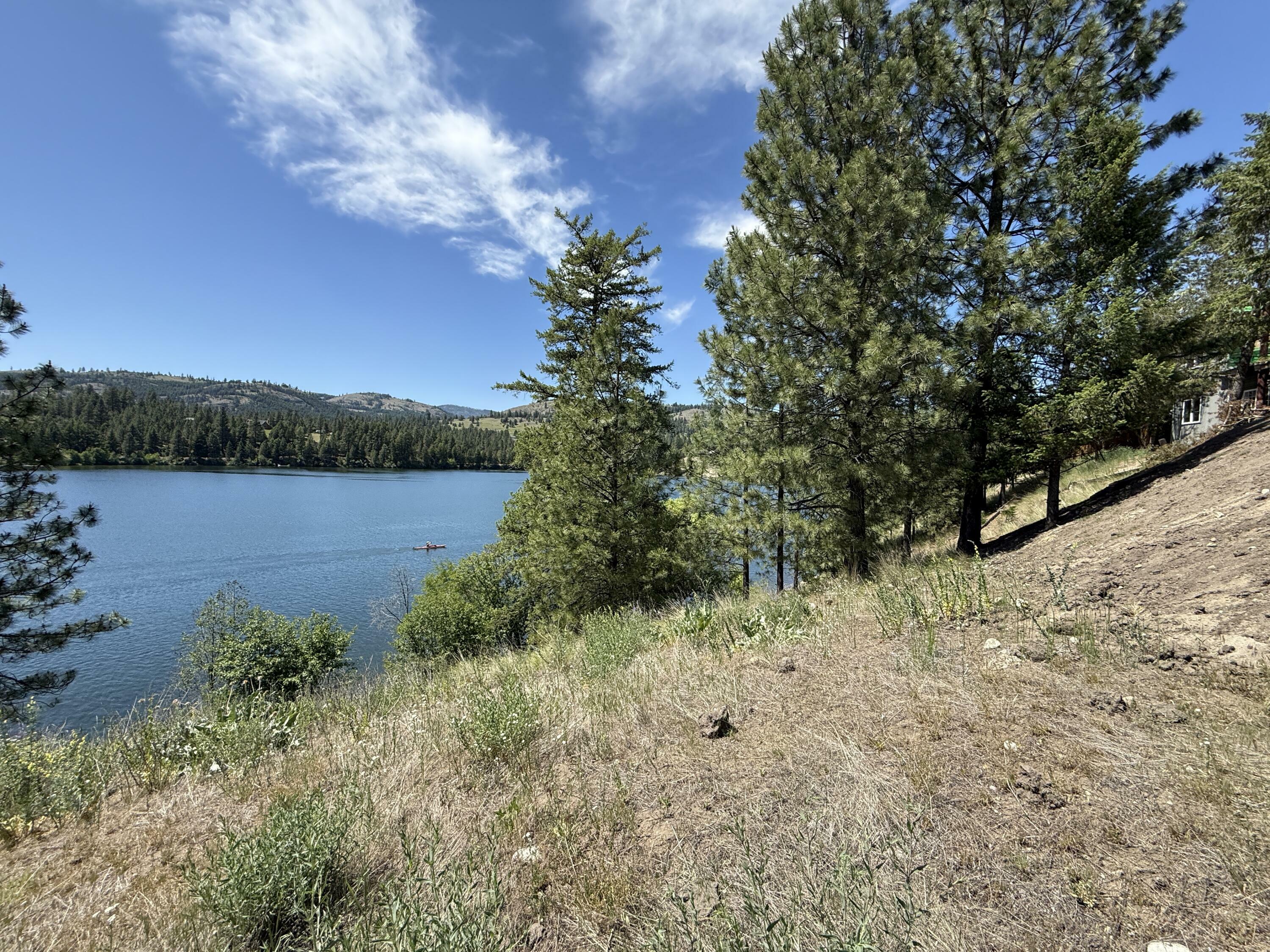 Property Photo: Tbd Dollar Bar Beach Rd WA 99166