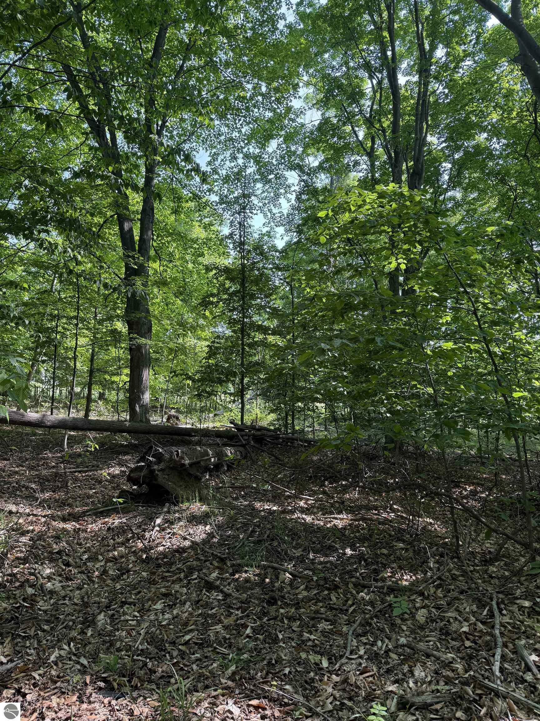 Property Photo: 0000 Mooney Way MI 49648