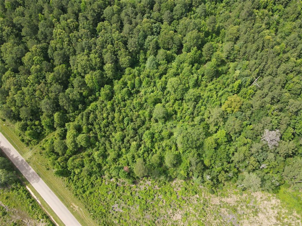 321 Fuller Road  Minden LA 71055 photo