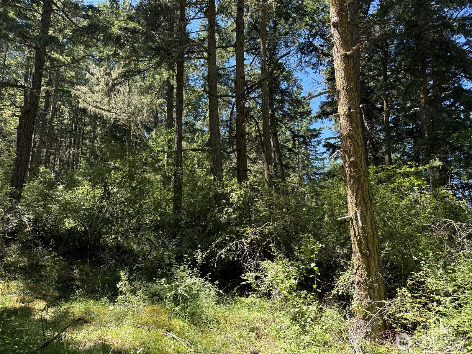 Property Photo: 0 Thimbleberry Lane WA 98250