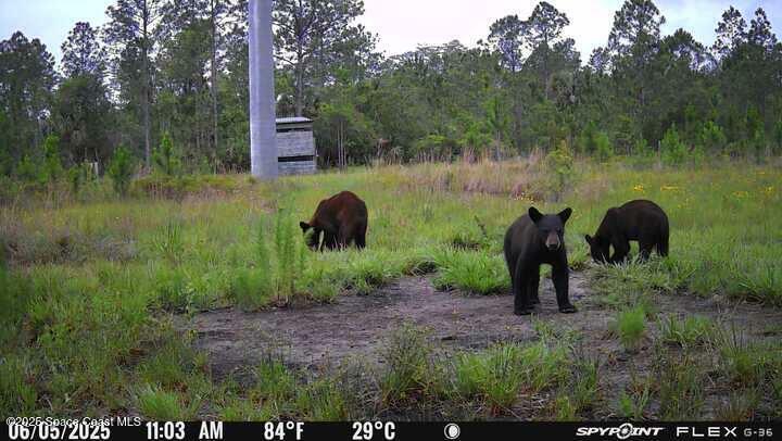Property Photo: 0000 D Johnson FL 32754