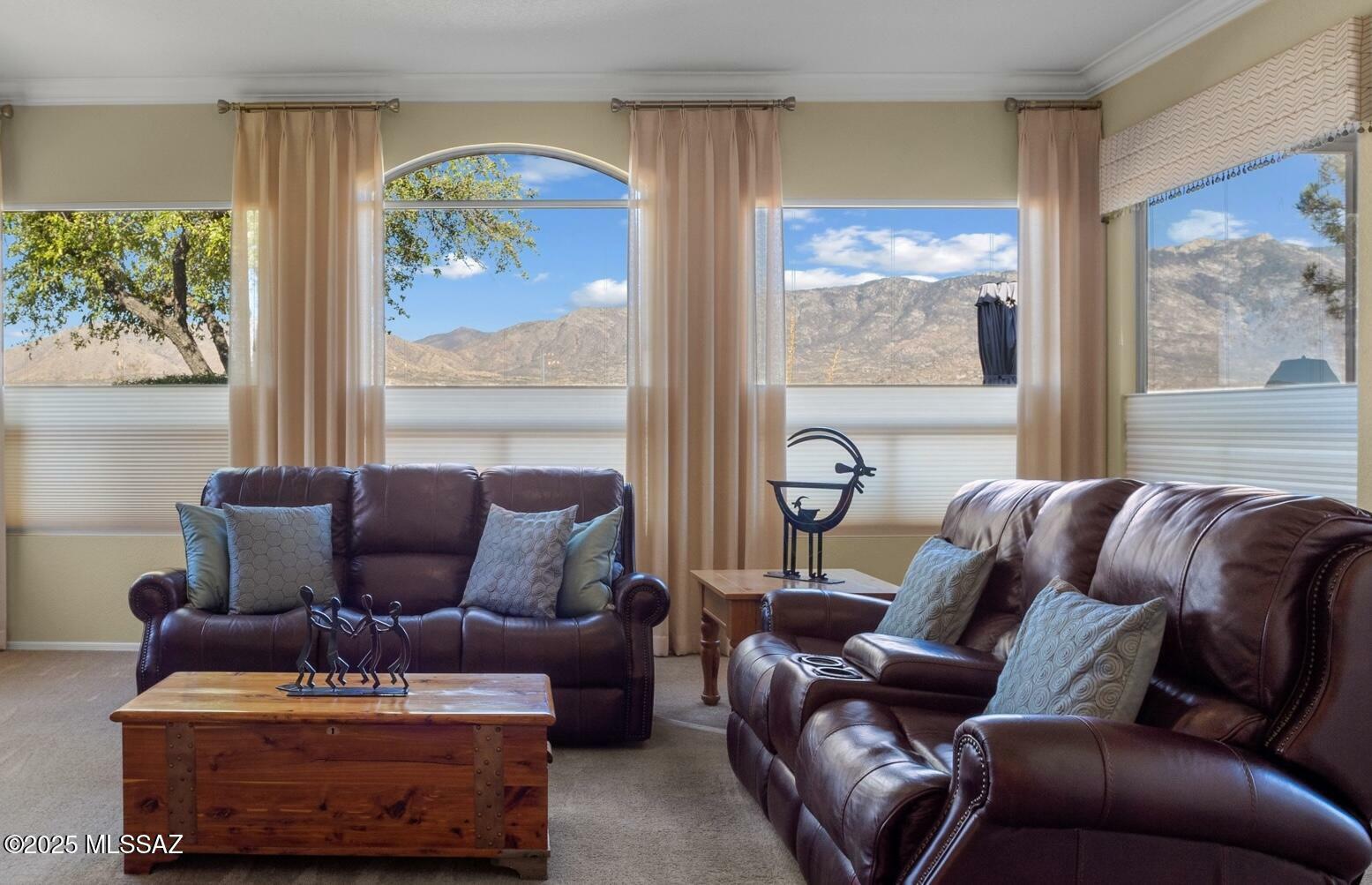 38893 S Tranquil Drive  Tucson AZ 85739 photo