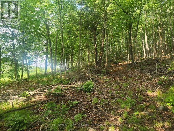 Property Photo: 1680 Calabogie Road ON K0A 1G0